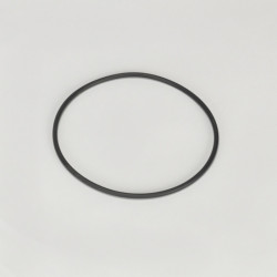 Donaldson® P175381