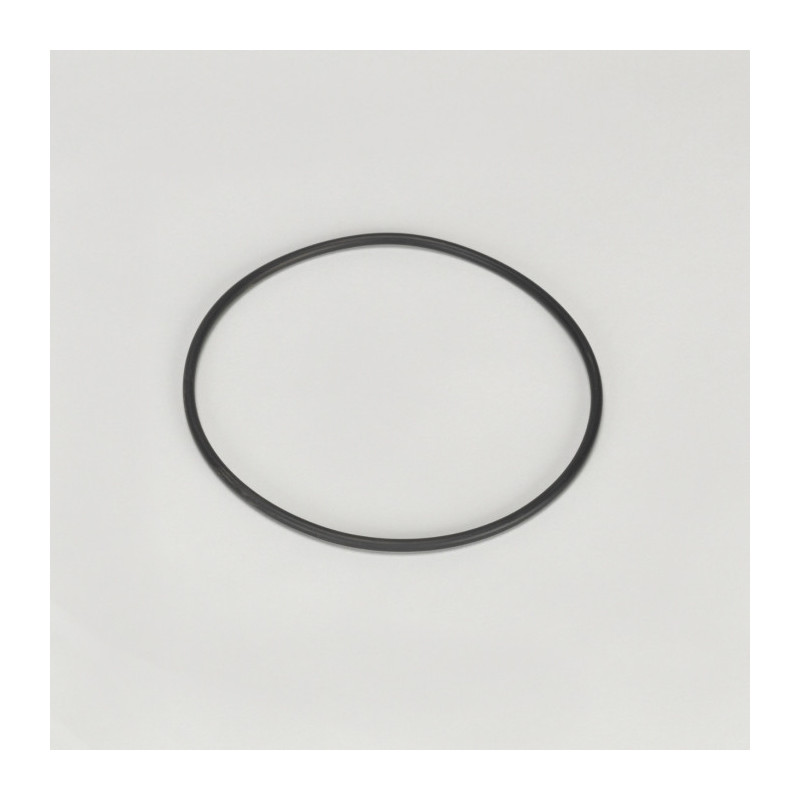 Donaldson® P175381
