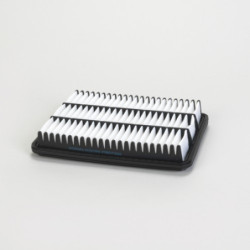 Donaldson® P607256 Légszűrő