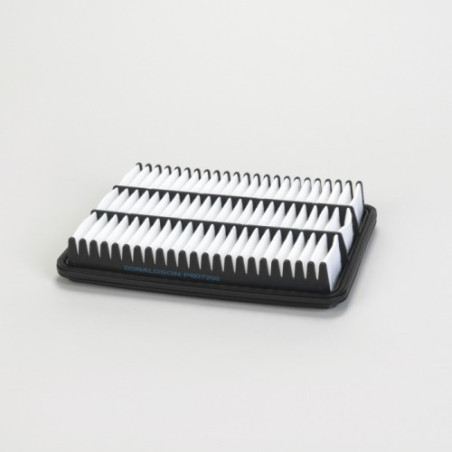 Donaldson® P607256 Légszűrő