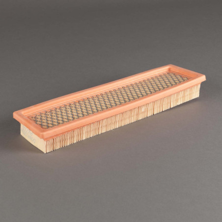 Donaldson® P607333 Légszűrő